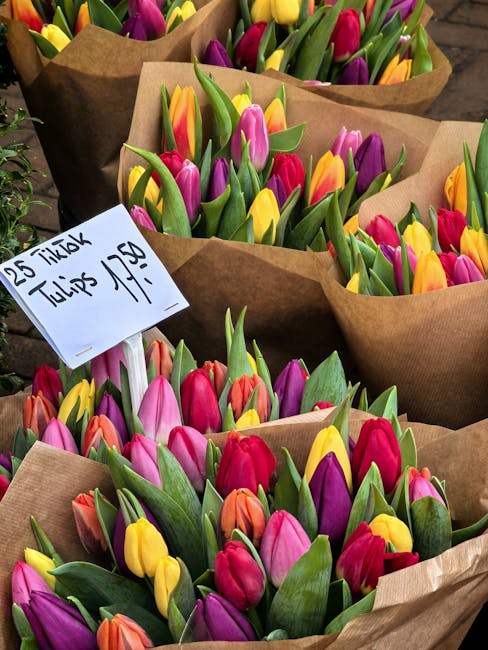 Multiple bouquets of fresh tulips in vibrant shades of pink, purple, yellow, red, and orange are wrapped in simple brown paper and arranged on a flat surface. The tulips have lush green leaves and stu